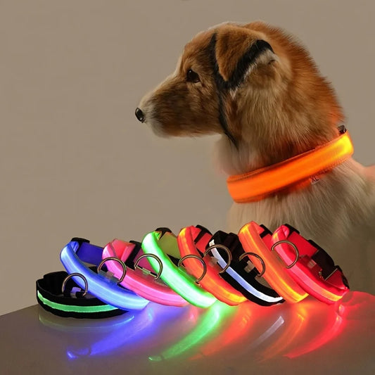 Brilliant LED Glow In The Dark Dog Collar - Little Pretty Paws