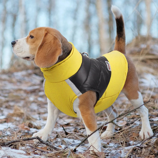 Incredibly Comfortable Waterproof Dog Jacket - Little Pretty Paws